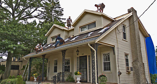 Roof Gutter Cleaning in Ruston, WA